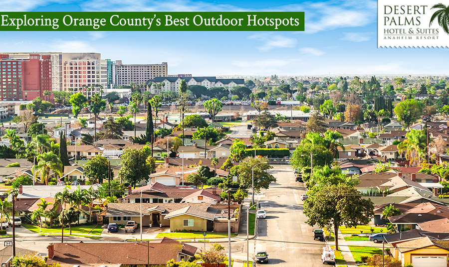 Blog | Summer Outdoor Getaways in Anaheim, CA - Desert Palms