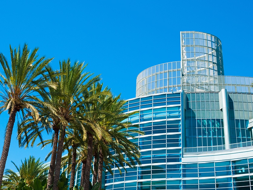 A modern glass building with palm trees in front of it